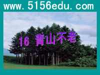 《青山不老》ppt课件2
